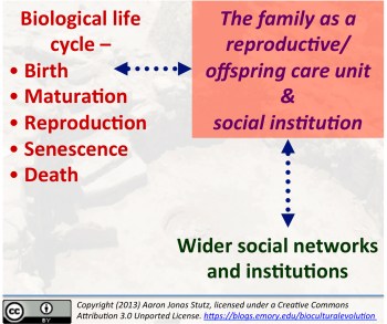 Culture is a complex, symbolically structured life-history adaptation. The evolved extended juvenile stage in humans facilitates developing socially learned, symbolically based competence in social action and judgment. In the lengthy adult life-history stage, the cultural capacity for social competence and agency has been favored by natural selection, because only successful alliance-formation and cooperation among a network of adults allows for the intense material and caloric investment in dependent offspring with delayed maturation. Thus, the juvenile and adult cultural adaptations have co-evolved.