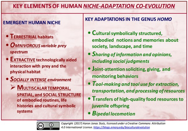 human niche-adaptation coevolution
