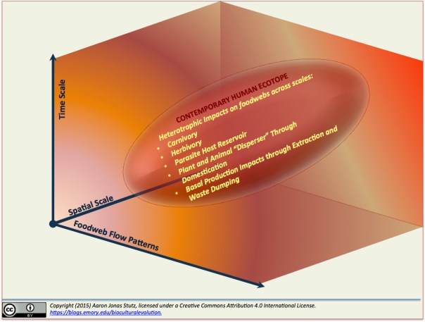 A multi-dimensional view of the contemporary hominin (that is, human) ecotope. In contrast to the local landscape constraints emphasized by Whittaker et al. (1973), this depiction emphasizes how the human niche is remarkably complex in terms of foodweb connections and impacts. AND it spans extensive time and geographic scales.